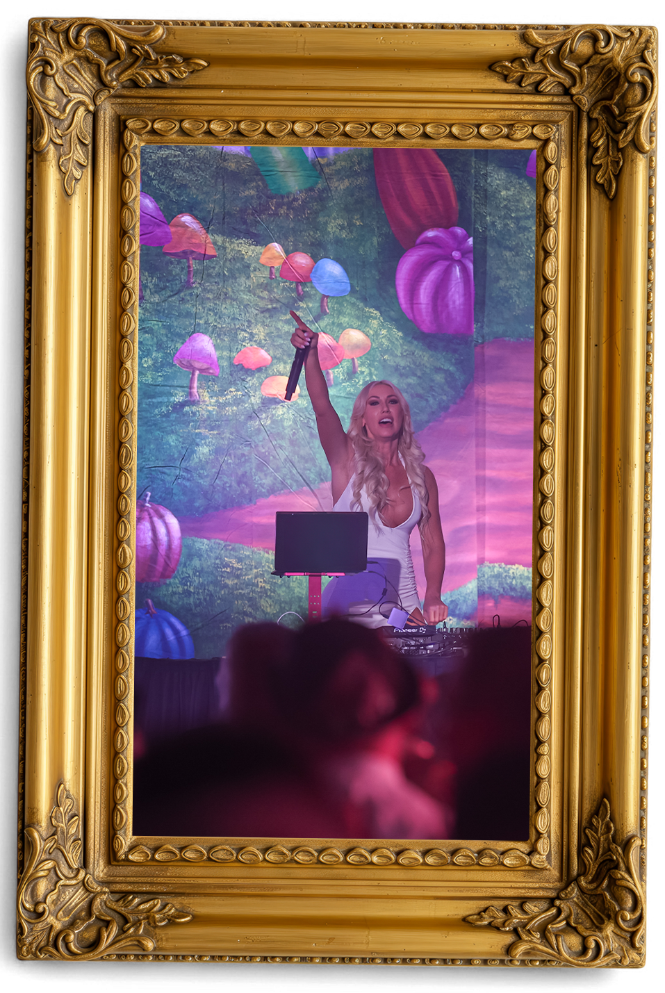 DJ Frame